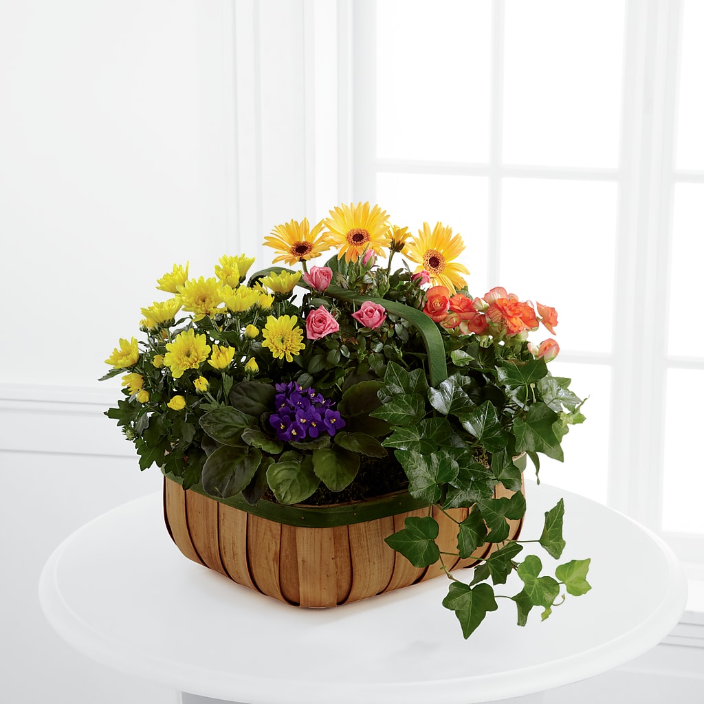 Gentle Blossoms Basket – Waddington Blooms, Waddington NY