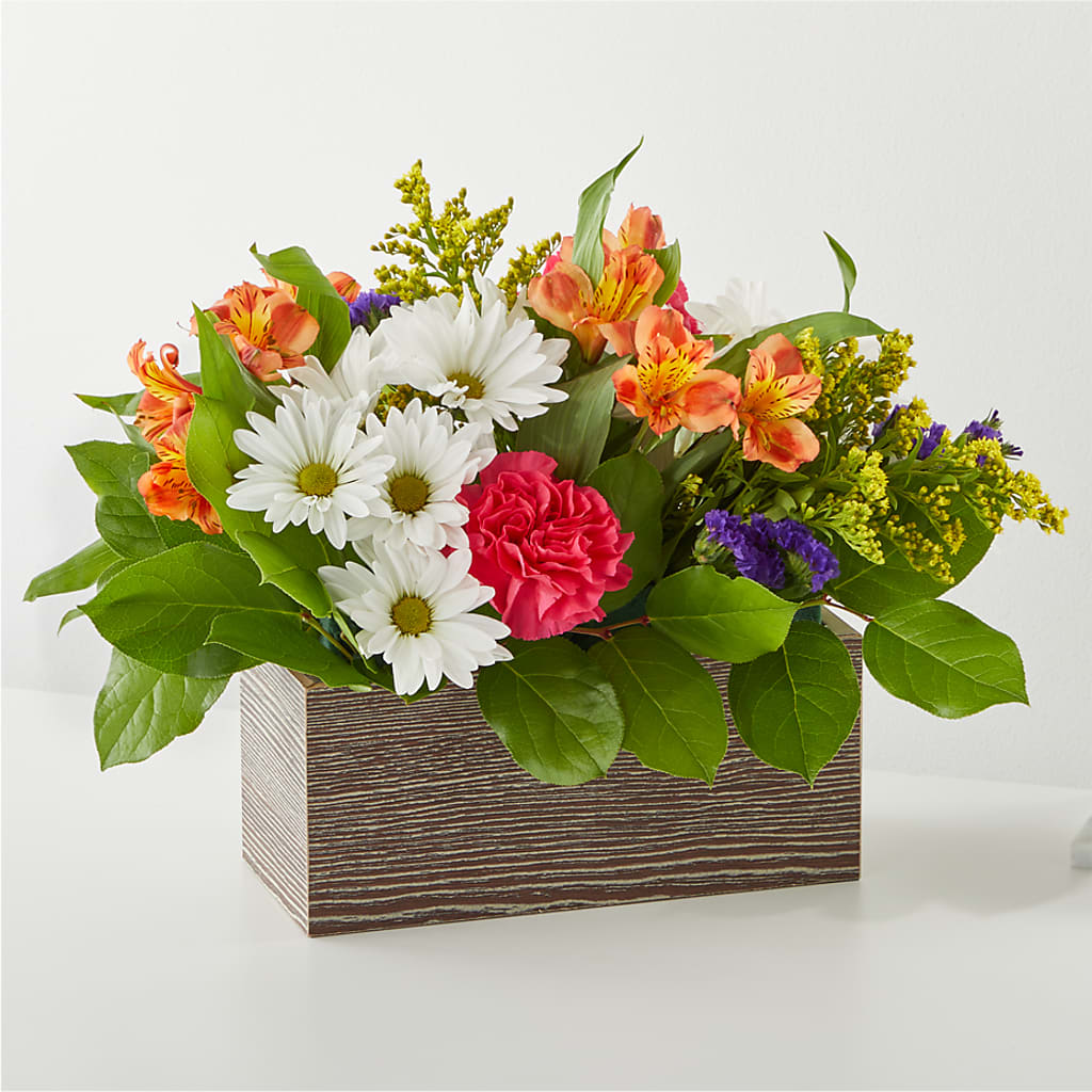 Oopsie Daisy Box Bouquet – Waddington Blooms, Waddington NY