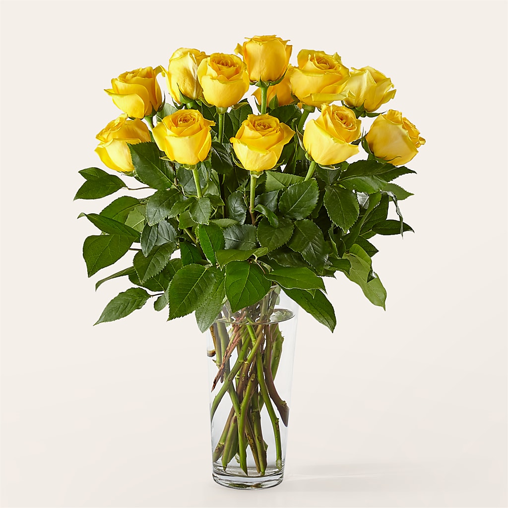 Long Stem Yellow Rose Bouquet – Waddington Blooms, Waddington NY
