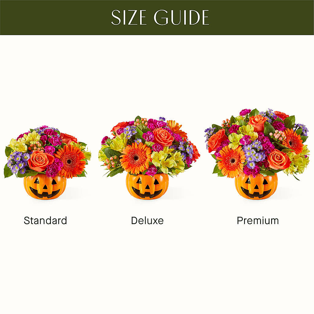 Tricks & Treats Pumpkin – Waddington Blooms, Waddington NY