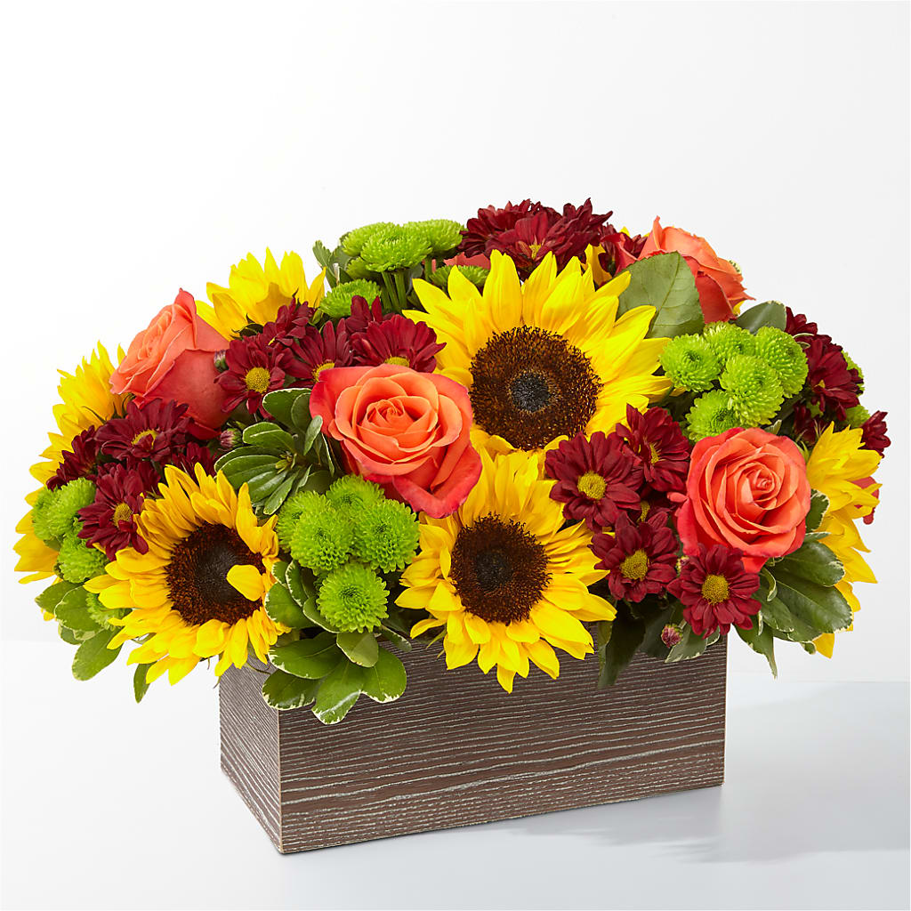 Happy Harvest Garden – Waddington Blooms, Waddington NY
