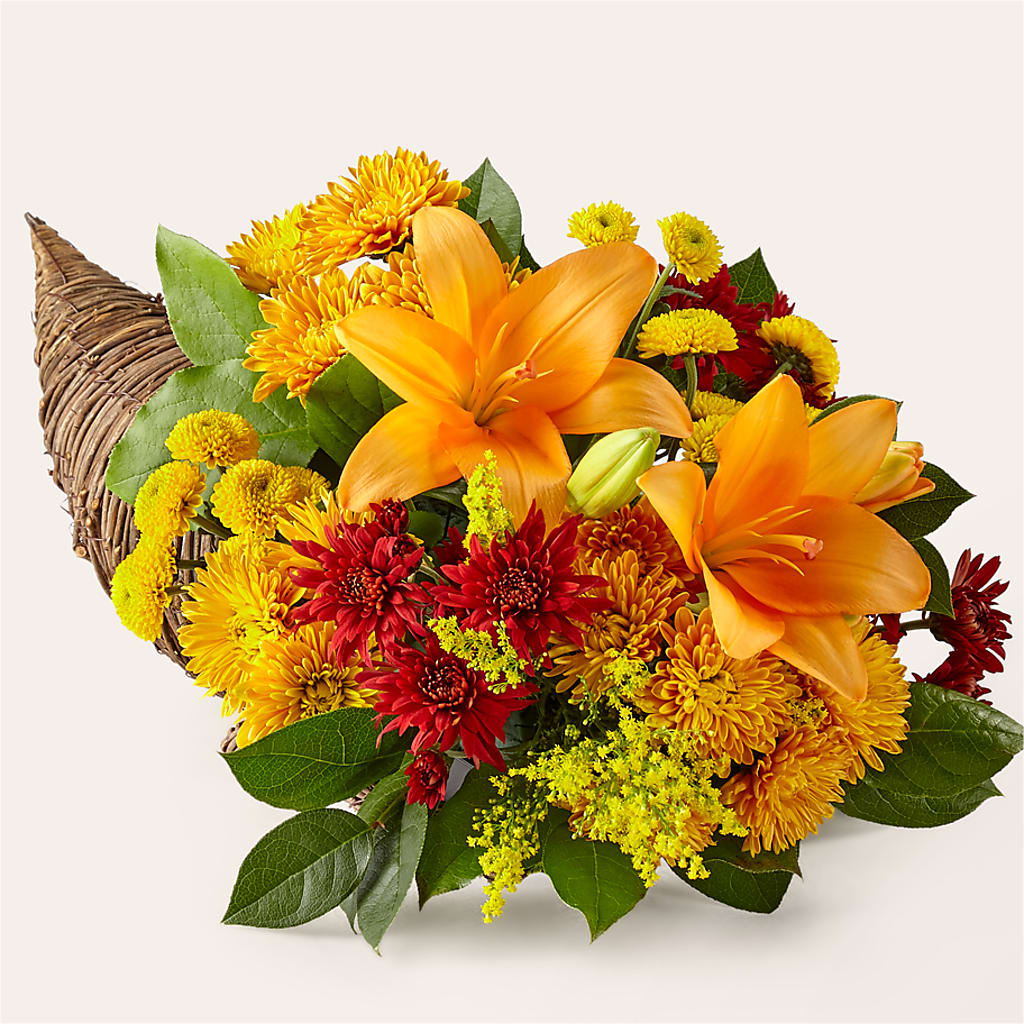 Feast of Color Cornucopia – Waddington Blooms, Waddington NY