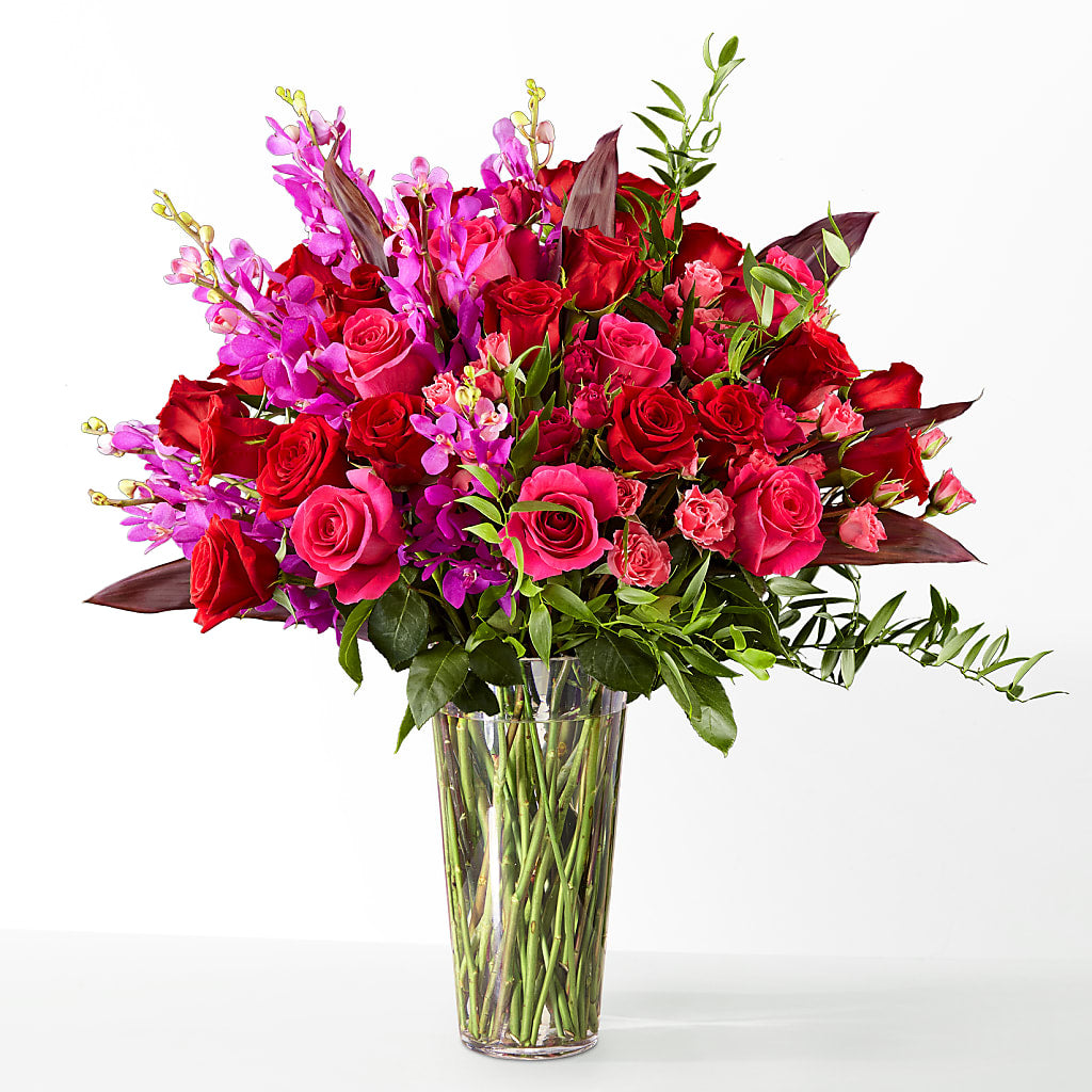 The Honeymoon – Waddington Blooms, Waddington NY