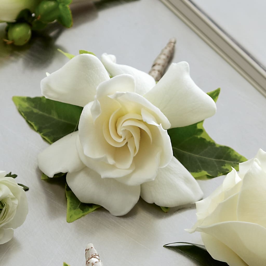 Gardenia Boutonniere – Waddington Blooms, Waddington NY