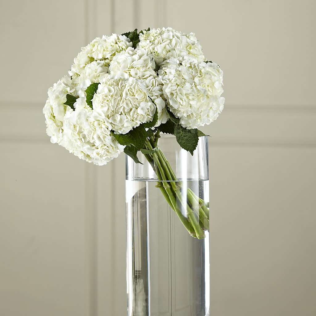 White Hydrangea Hand-Tied Bouquet – Waddington Blooms, Waddington NY