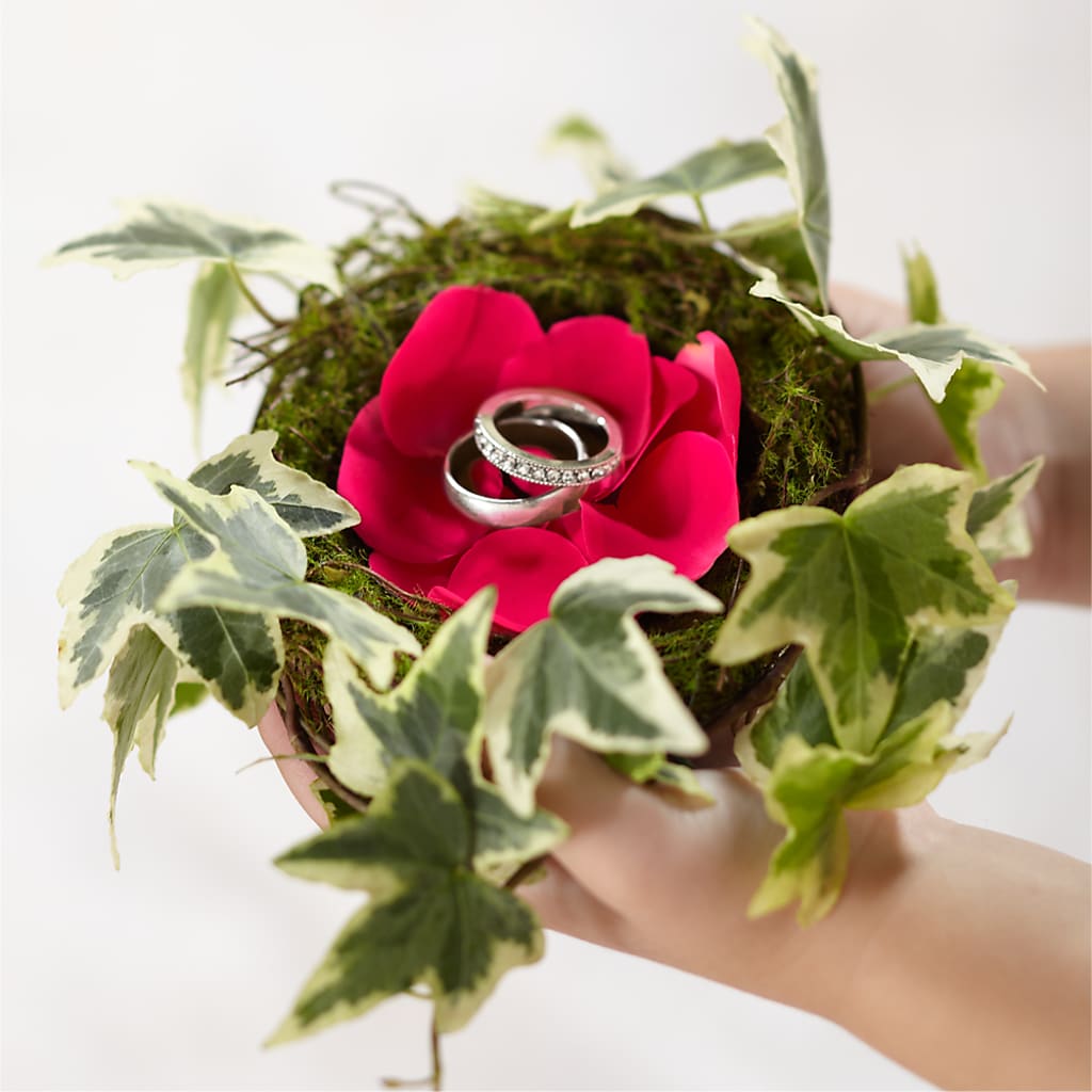 Lila Rose Ring Nest – Waddington Blooms, Waddington NY