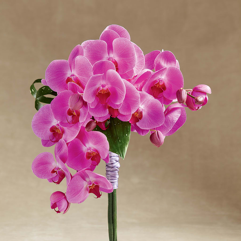 Glorious Bouquet – Waddington Blooms, Waddington NY