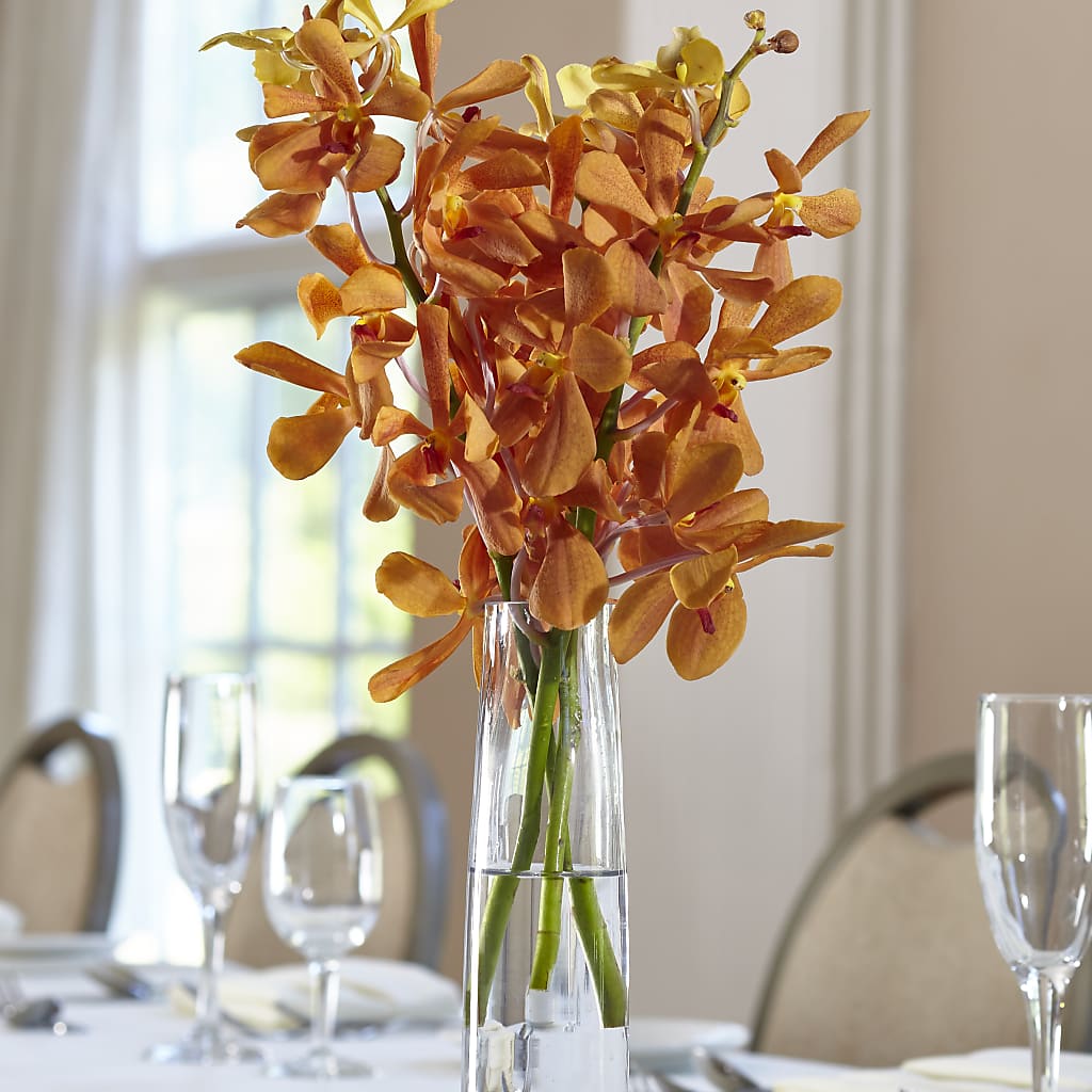 Orange Mokara Bud Vase – Waddington Blooms, Waddington NY