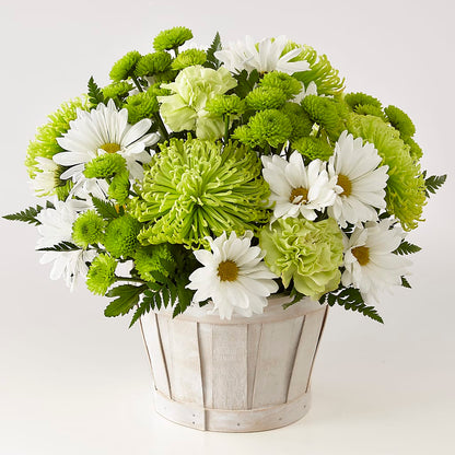 Lucky Charm Basket (Standard) –  Waddington Blooms, Waddington NY