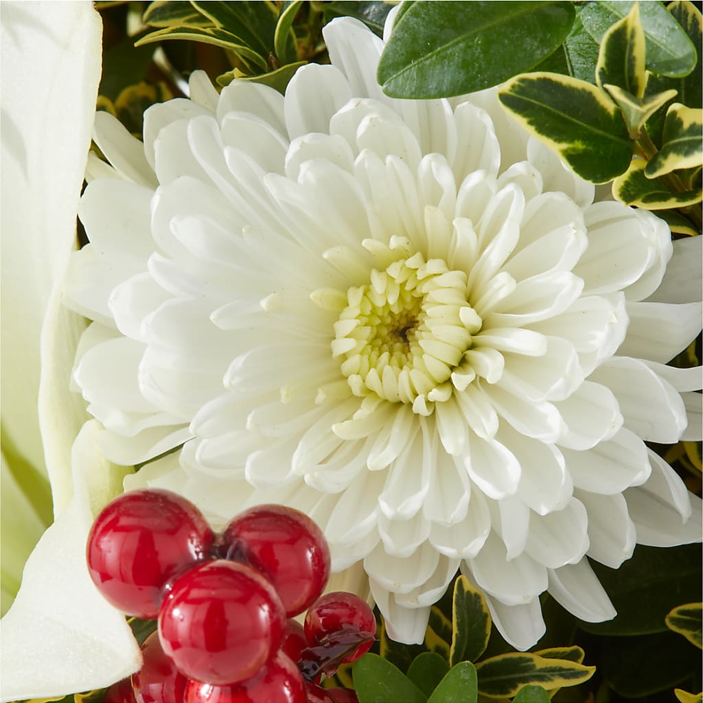 Festive Moments Tree –  Waddington Blooms, Waddington NY