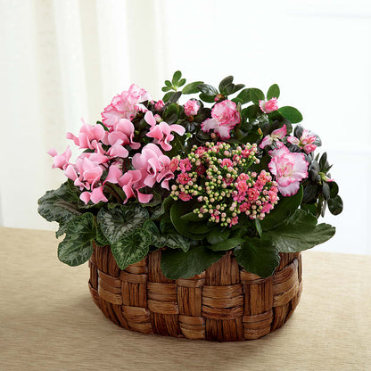 Pink Assortment –  Waddington Blooms, Waddington NY