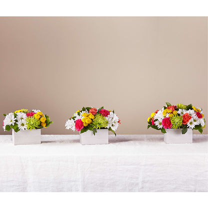 Sorbet Bouquet –  Waddington Blooms, Waddington NY