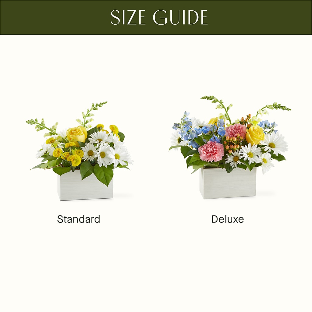 Sun Salutation Box Bouquet –  Waddington Blooms, Waddington NY