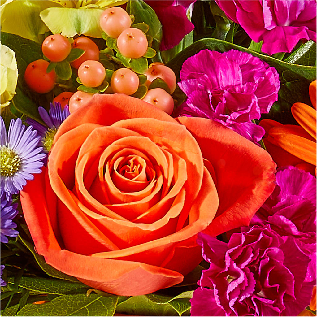 Tricks & Treats Pumpkin –  Waddington Blooms, Waddington NY
