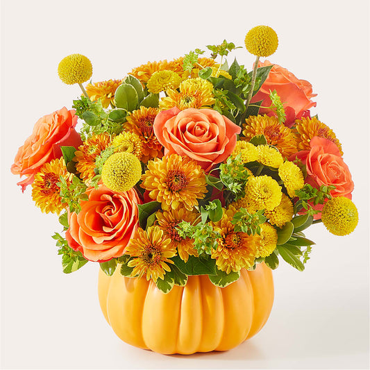Gourdgeous Pumpkin –  Waddington Blooms, Waddington NY