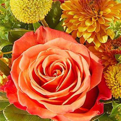 Gourdgeous Pumpkin –  Waddington Blooms, Waddington NY