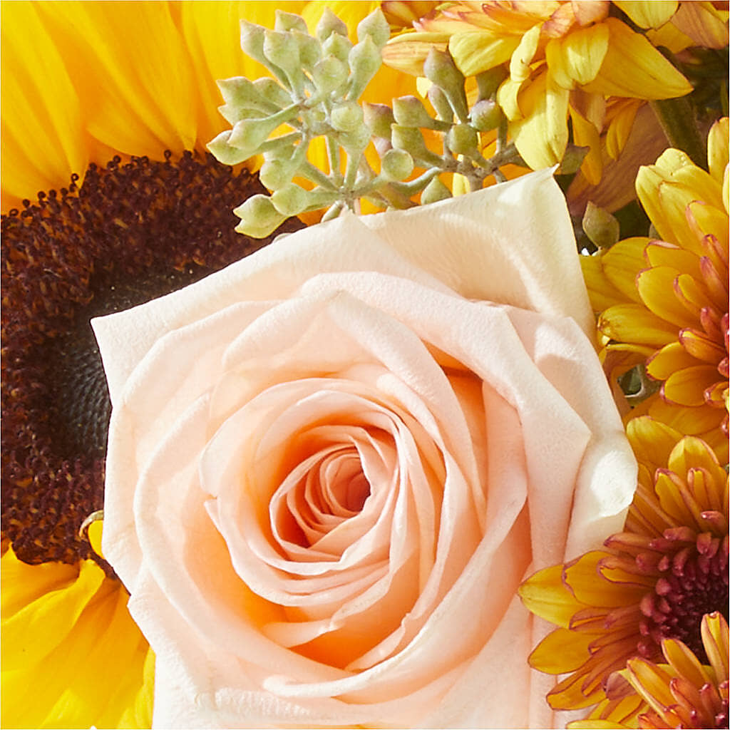 Pumpkin to Talk About Bouquet –  Waddington Blooms, Waddington NY