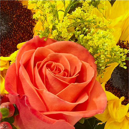 Pick of the Patch Pumpkin Bouquet –  Waddington Blooms, Waddington NY