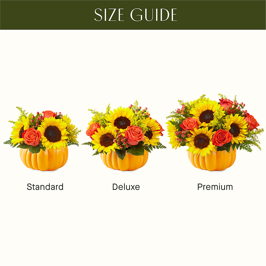 Pick of the Patch Pumpkin Bouquet –  Waddington Blooms, Waddington NY