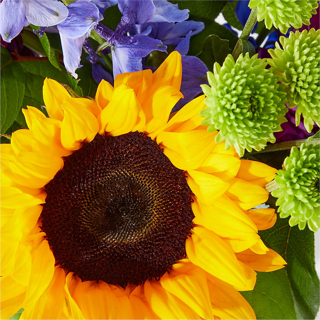 Catching Rays Bouquet –  Waddington Blooms, Waddington NY