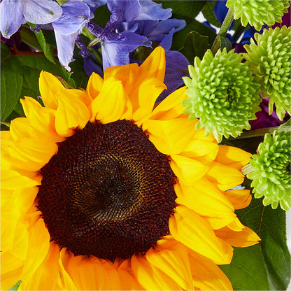 Catching Rays Bouquet –  Waddington Blooms, Waddington NY