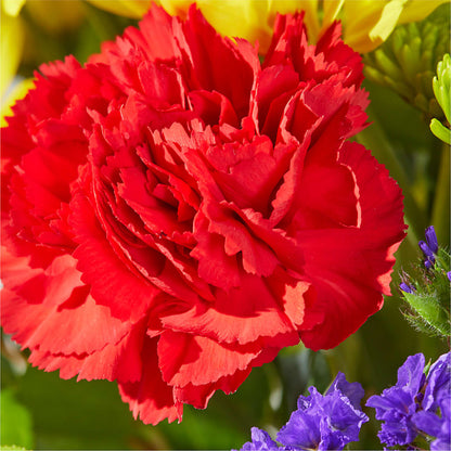 Brighter Days Bouquet –  Waddington Blooms, Waddington NY
