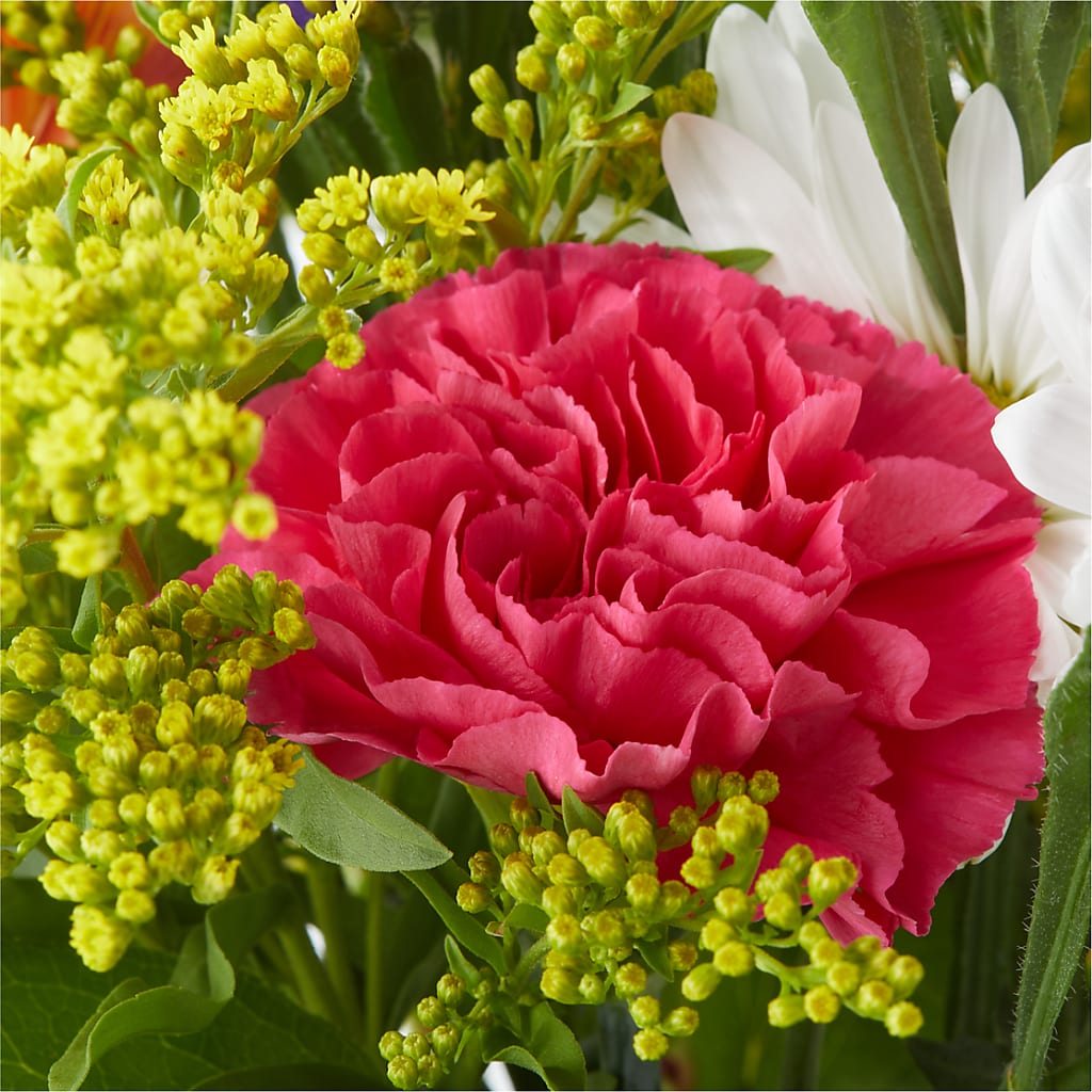 Oopsie Daisy Bouquet –  Waddington Blooms, Waddington NY