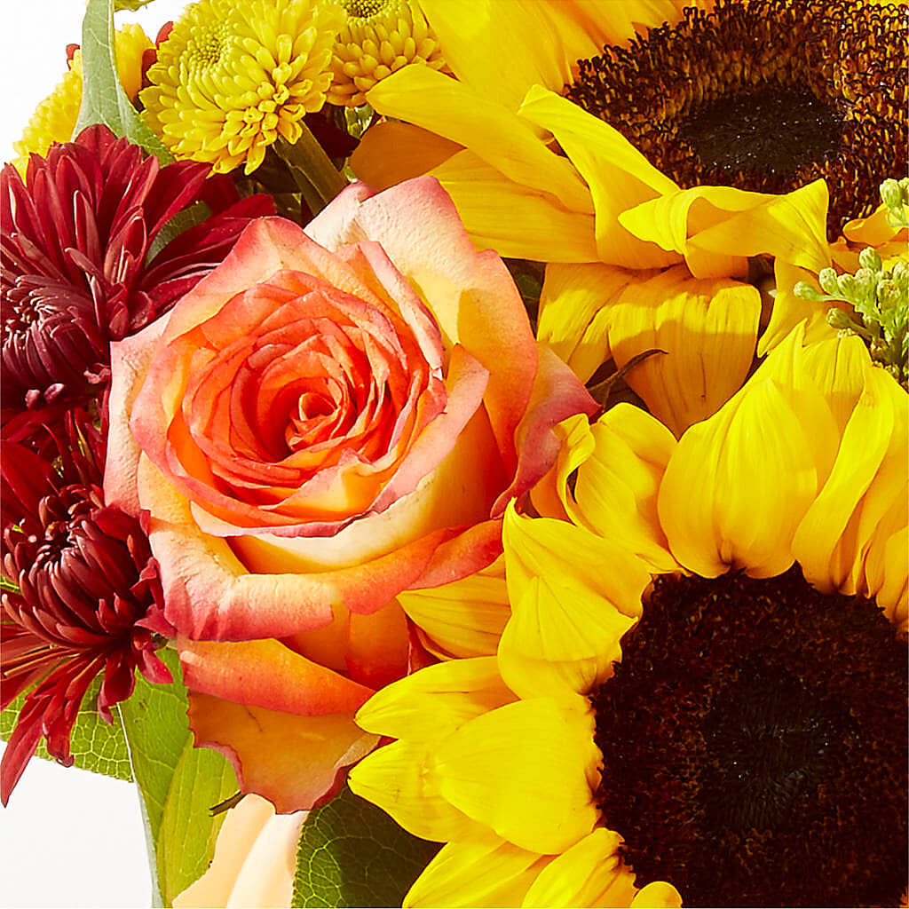 Golden Gourd Pumpkin Bouquet –  Waddington Blooms, Waddington NY