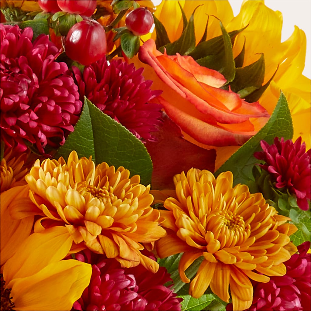 Sweater Season - A Florist Original –  Waddington Blooms, Waddington NY