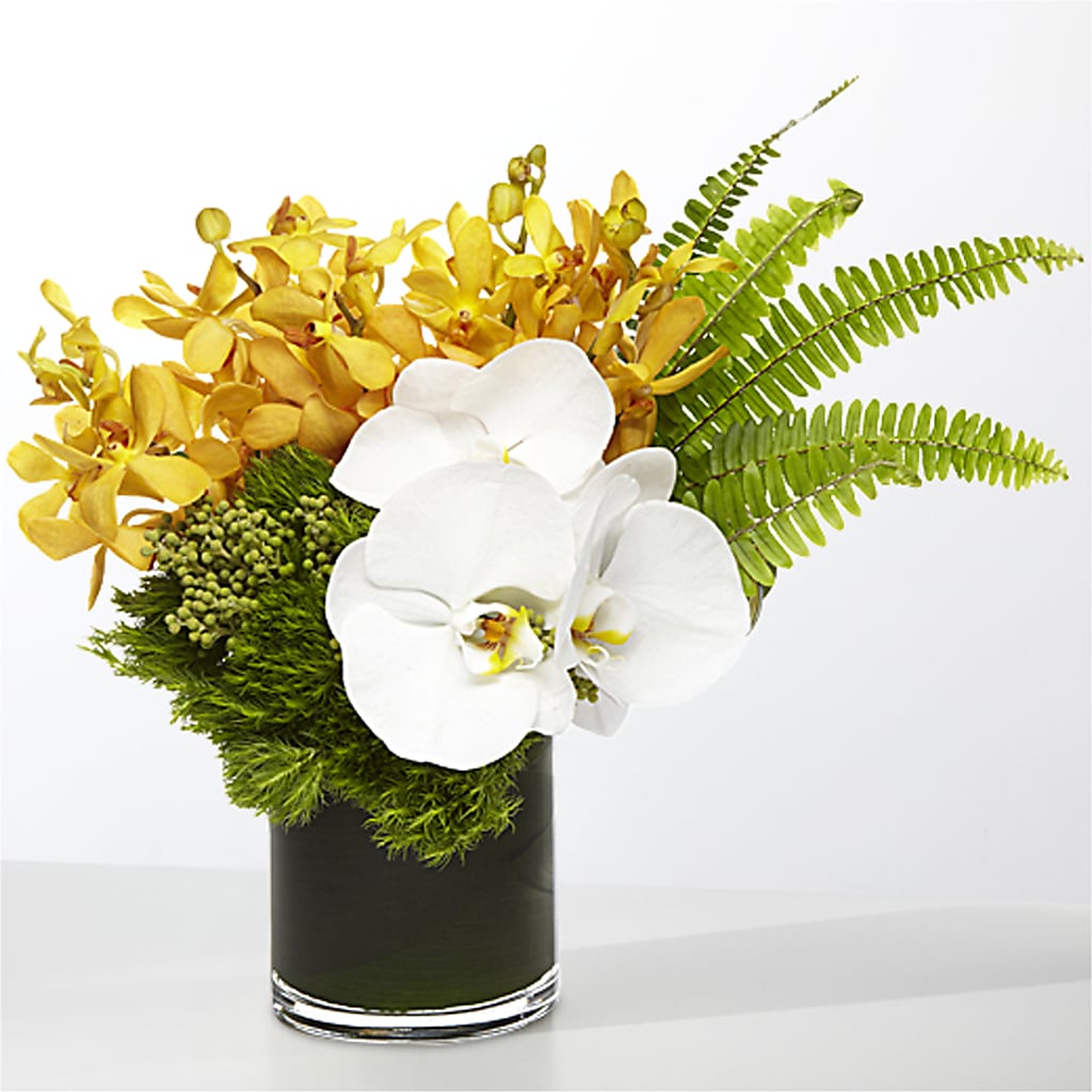 The Tropics –  Waddington Blooms, Waddington NY