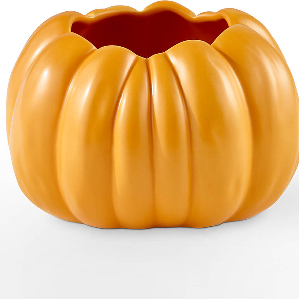 Golden Gourd Pumpkin Bouquet –  Waddington Blooms, Waddington NY