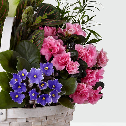 Peaceful Garden Planter –  Waddington Blooms, Waddington NY