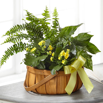 Always Dear Dishgarden –  Waddington Blooms, Waddington NY