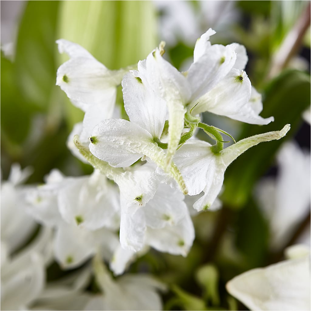 Classic Ivory – A Florist Original –  Waddington Blooms, Waddington NY