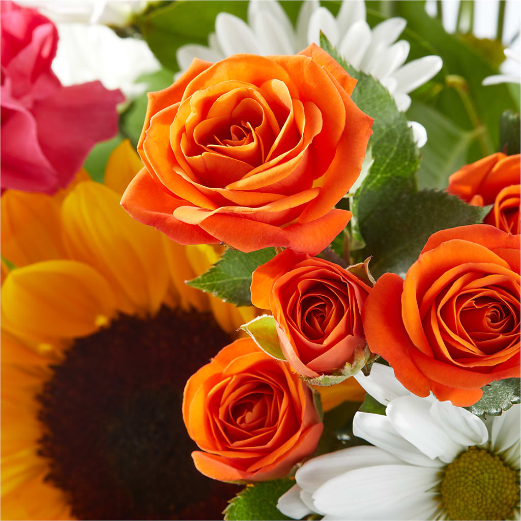 Sun-drenched Blooms Bouquet –  Waddington Blooms, Waddington NY