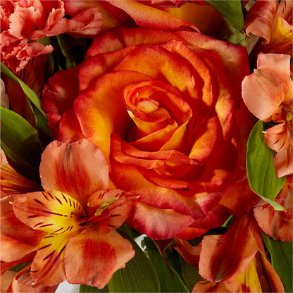 Apricot Glow Bouquet –  Waddington Blooms, Waddington NY