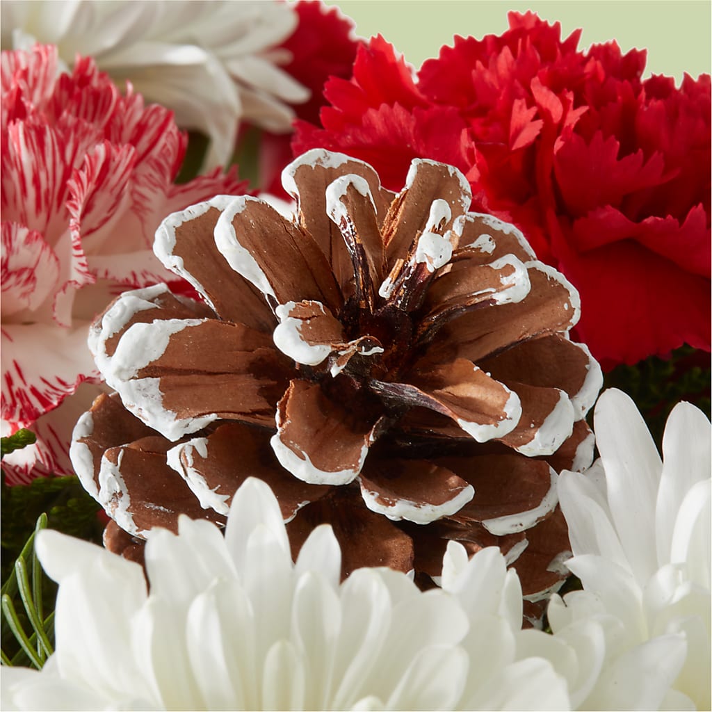 Candy Cane Lane Bouquet –  Waddington Blooms, Waddington NY