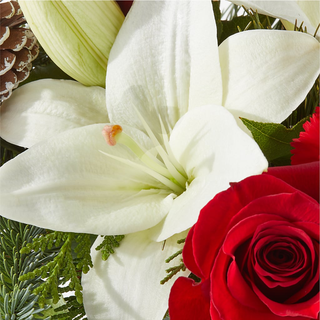 Oh So Jolly Bouquet –  Waddington Blooms, Waddington NY