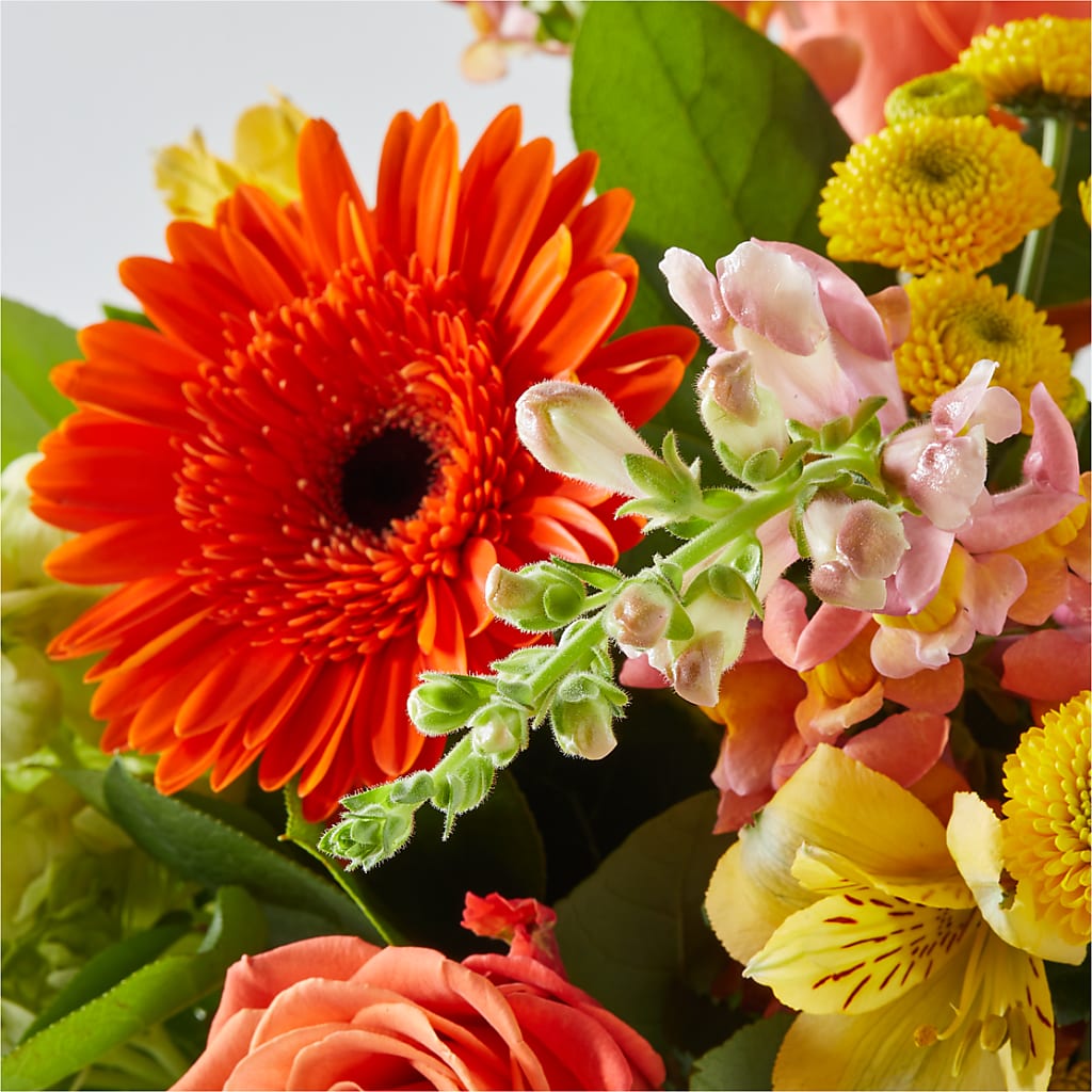 Autumn Sunshine Bouquet –  Waddington Blooms, Waddington NY