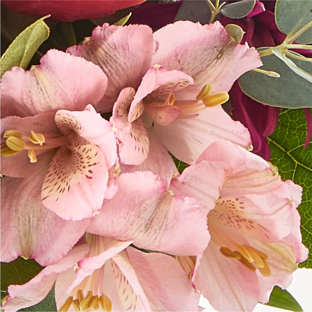 Berry Cobbler Bouquet –  Waddington Blooms, Waddington NY