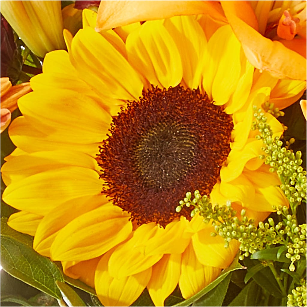 Seasons Change Bouquet –  Waddington Blooms, Waddington NY