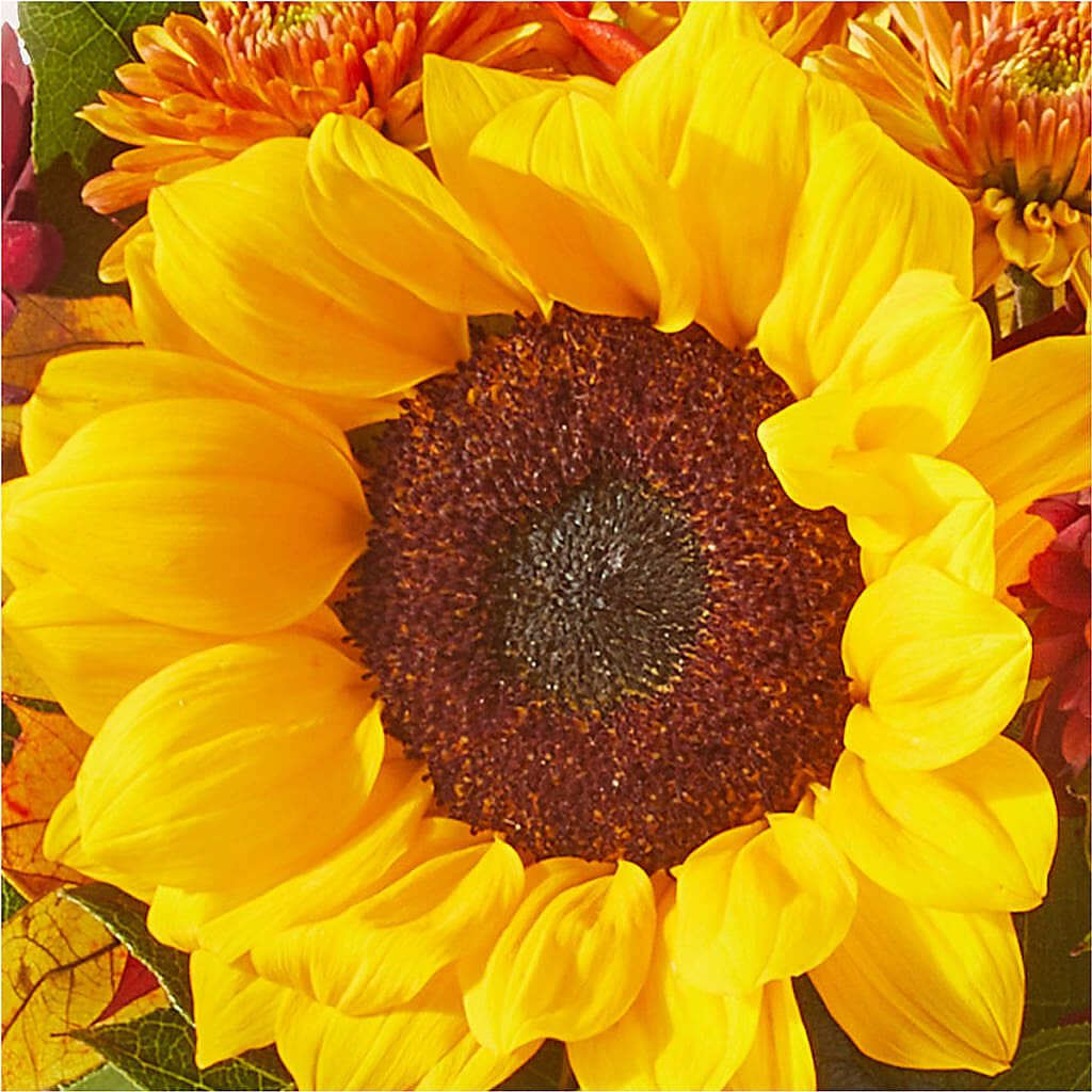 Sunny Side Bouquet –  Waddington Blooms, Waddington NY