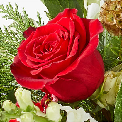 Deck the Halls Bouquet –  Waddington Blooms, Waddington NY