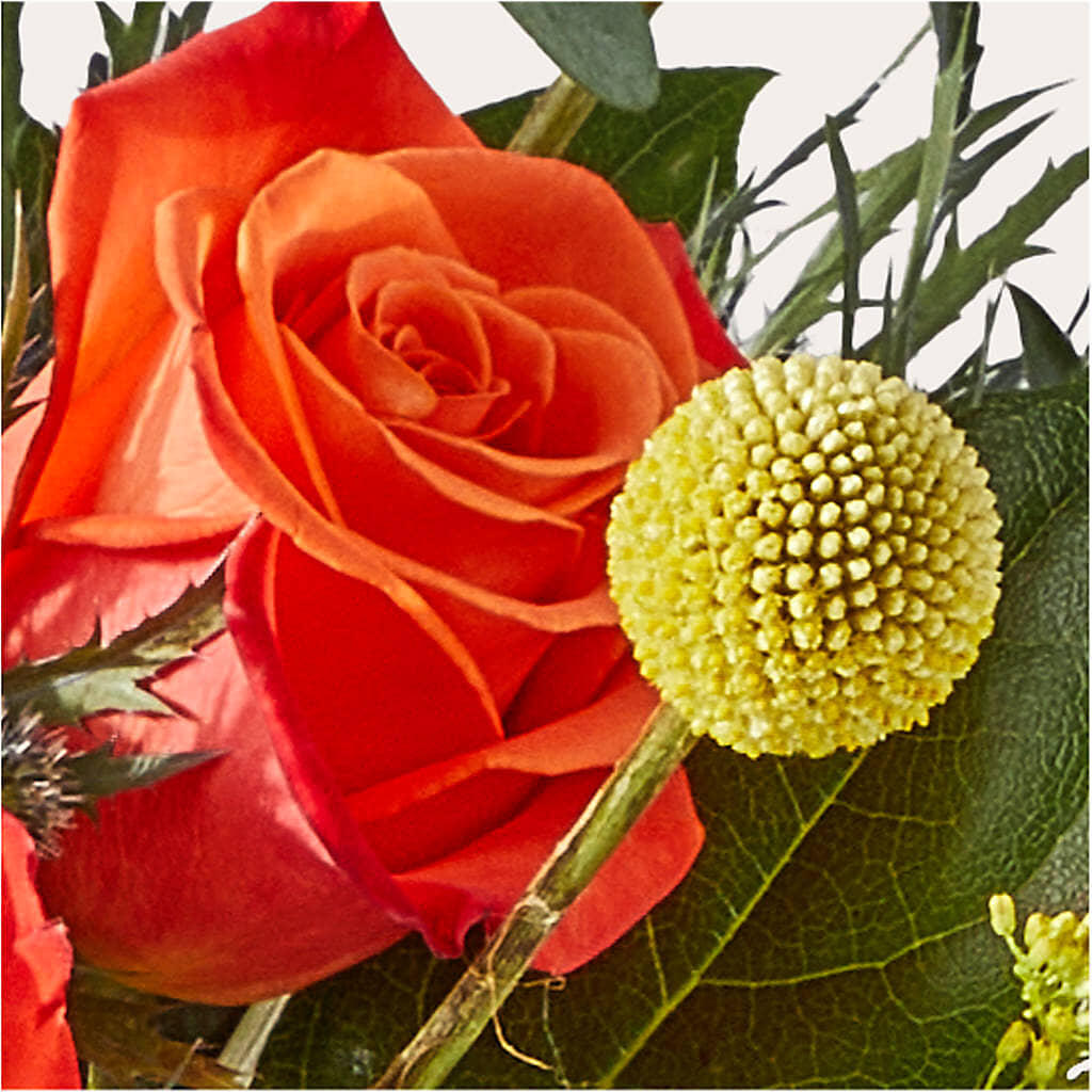 Disco Bouquet –  Waddington Blooms, Waddington NY