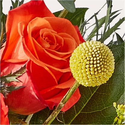 Disco Bouquet –  Waddington Blooms, Waddington NY