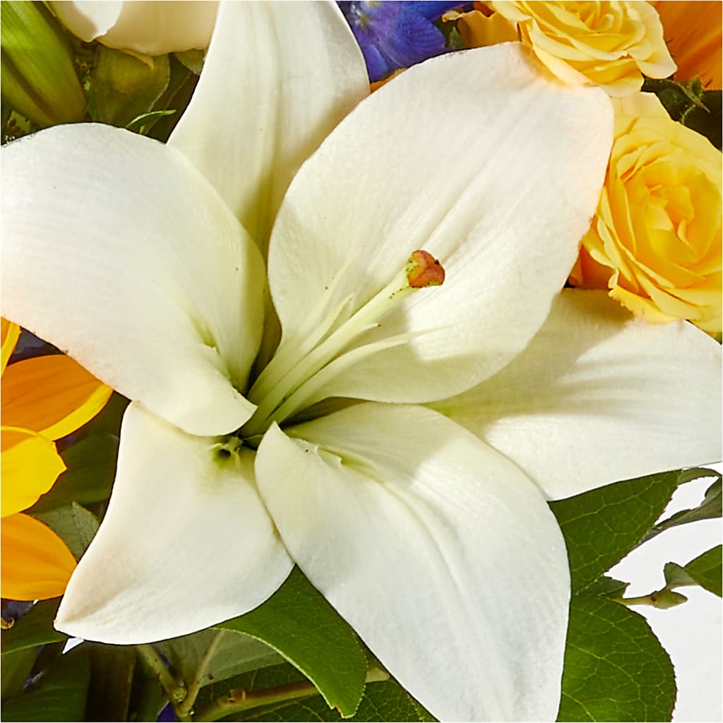 Wonderfully Sunny Bouquet –  Waddington Blooms, Waddington NY