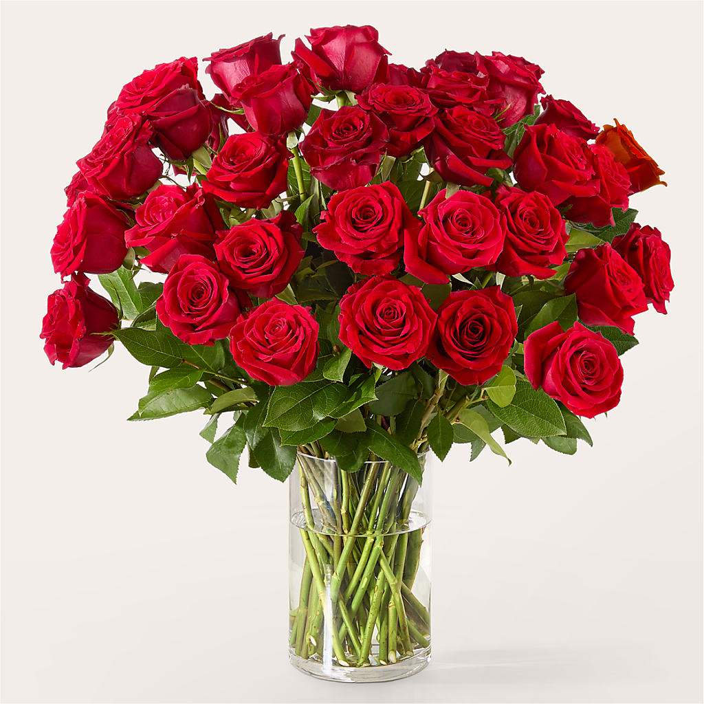 The One Red Rose Bouquet –  Waddington Blooms, Waddington NY