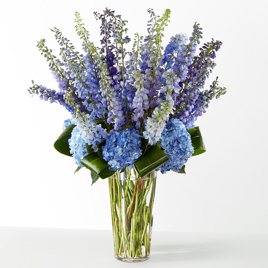 The Editorial –  Waddington Blooms, Waddington NY