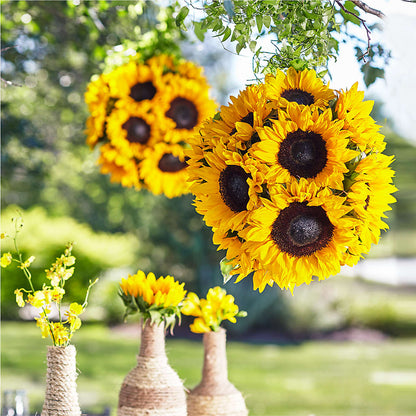 Sublime Garden Hanging Arrangement –  Waddington Blooms, Waddington NY