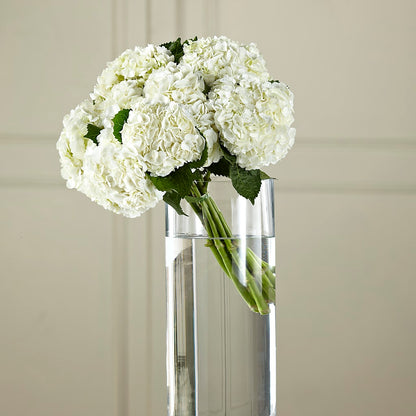 White Hydrangea Hand-Tied Bouquet –  Waddington Blooms, Waddington NY